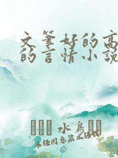 文笔好的高质量的言情小说推荐 文笔好的高质量的言情小说推荐