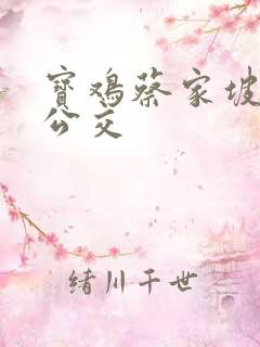 宝鸡蔡家坡城际公交