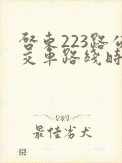 启东223路公交车路线时间表
