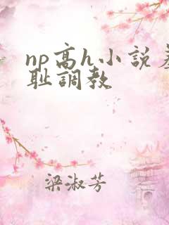 np高h小说羞耻调教