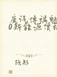 广汽传祺魅580新能源价格 广汽传祺魅580新能源价格