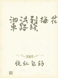 泗洪到梅花公交车路线