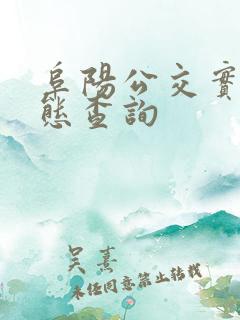 阜阳公交实时动态查询