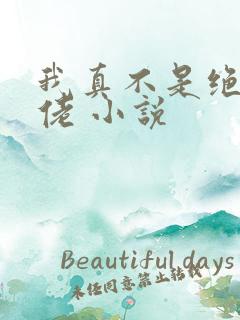 我真不是绝世大佬 小说