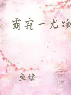 霸宠一尤物老婆