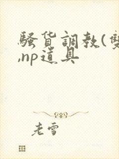 骚货调教(双性,np道具