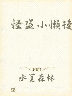 怪盗小懒后