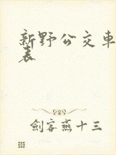 新野公交车时间表