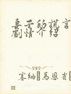 妻子的谎言分集剧情介绍