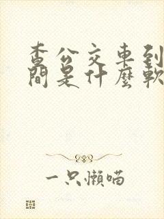 查公交车到站时间是什么软件
