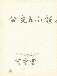 公交h小说在线
