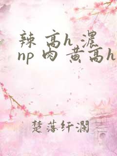 辣 高h 浓 np 肉 黄高h