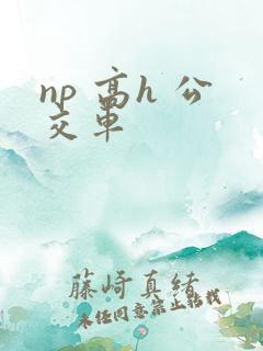 np 高h 公交车