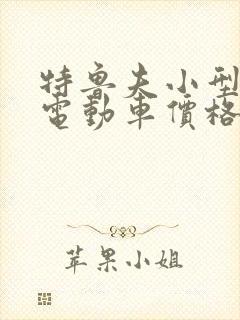 特鲁夫小型四轮电动车价格表