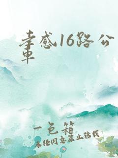 孝感16路公交车