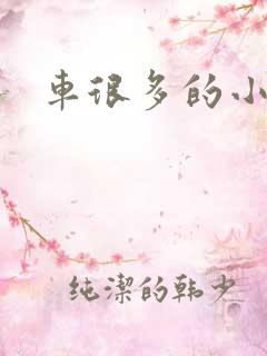 车很多的小说