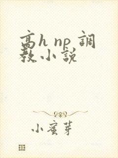 高h np 调教小说