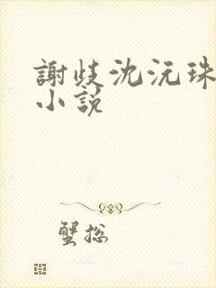 谢歧沈沅珠全文小说