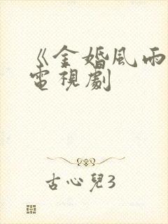《金婚风雨情》电视剧