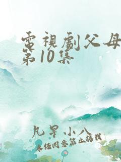电视剧父母爱情第10集 电视剧父母爱情第10集