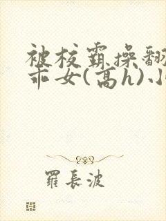 被校霸操翻的乖乖女(高h)小说