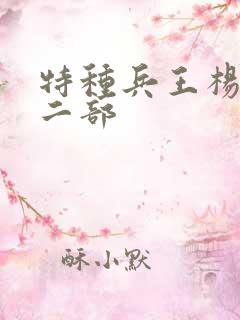 特种兵王杨洛第二部