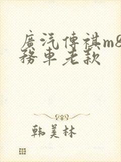 广汽传祺m8商务车老款