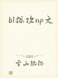 bl总攻np文 bl总攻np文