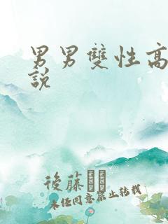 男男双性高h小说