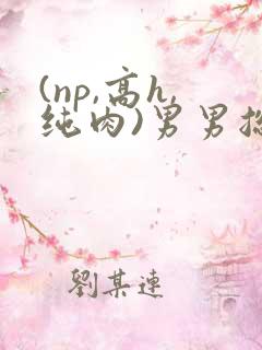 (np,高h,纯肉)男男总攻 (np,高h,纯肉)男男总攻