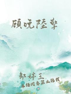 顾晚陆擎