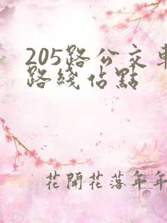 205路公交车路线站点