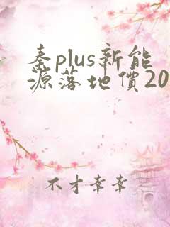 秦plus新能源落地价2023款