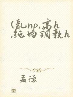 (乱np,高h,纯肉调教h