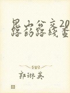 昆山公交204路的路线查询