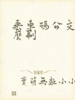 乘车码公交车怎么刷