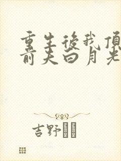 重生后我顶替了前夫白月光免费