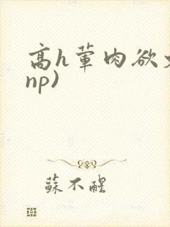 高h荤肉欲文(np)