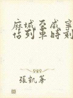 麻城至咸宁火车站列车时刻表