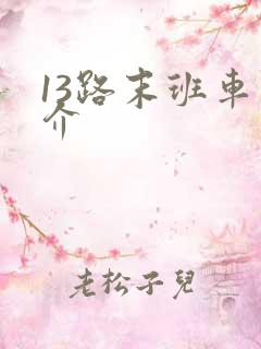 13路末班车简介
