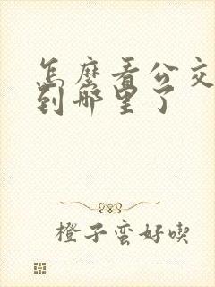 怎么看公交车走到哪里了