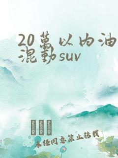 20万以内油电混动suv