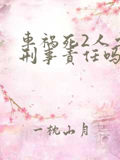 车祸死2人要负刑事责任吗