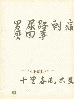 男尿路刺痛是怎么回事