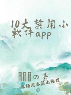 10大禁用小说软件app