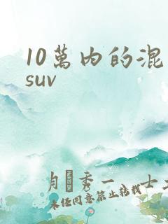 10万内的混动suv