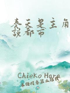 奏天是主角的小说都市