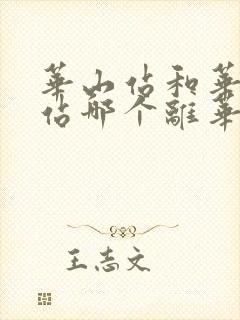 华山站和华山北站哪个离华山景区近