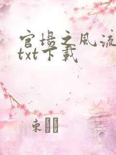 官场之风流人生txt下载