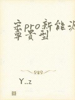 宋pro新能源尊贵型
